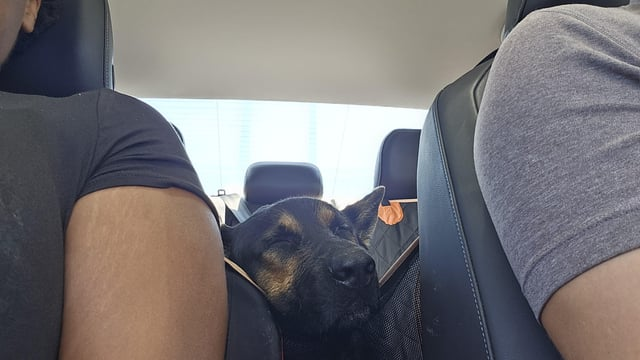 Cheezburger Image 10616052992