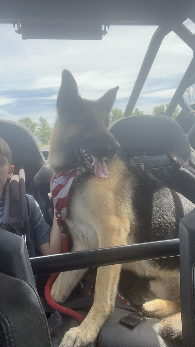 Cheezburger Image 10616053760