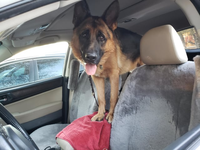 Cheezburger Image 10616054272