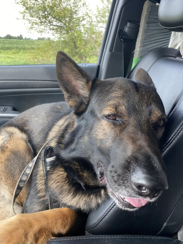 Cheezburger Image 10616054784