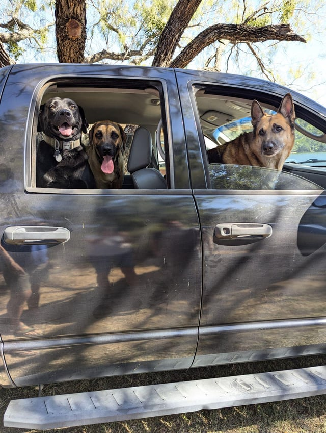 Cheezburger Image 10616055808