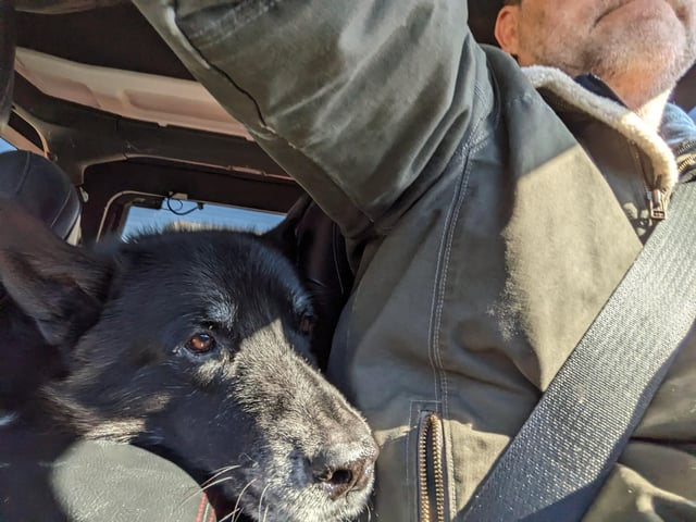 Cheezburger Image 10616056064