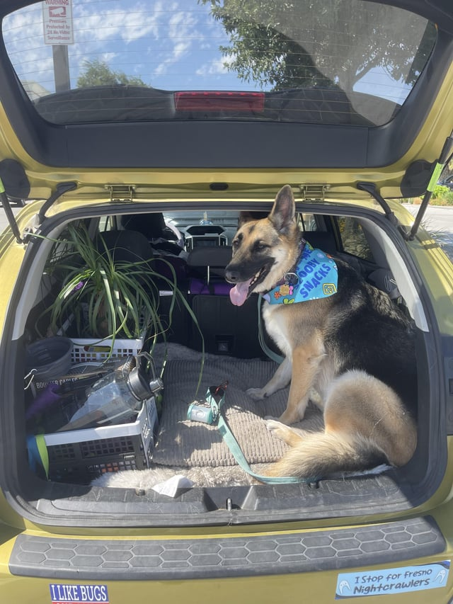 BOUR PA WARNING Serve OOBY SNACKS ILIKE BUGS I Stop for Fresno Nightcrawlers