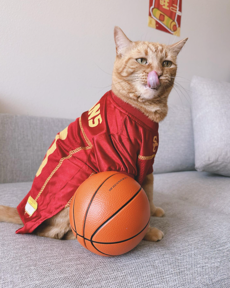 NS ROPERT IMP 2022 02 PS/