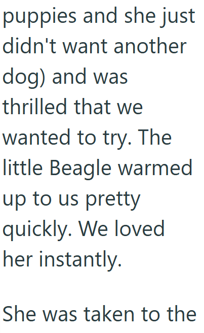 puppies and she just didn't want another dog) and was thrilled that we wanted to try. The little Beagle warmed up to us pretty quickly. We loved her instantly. She was taken to the