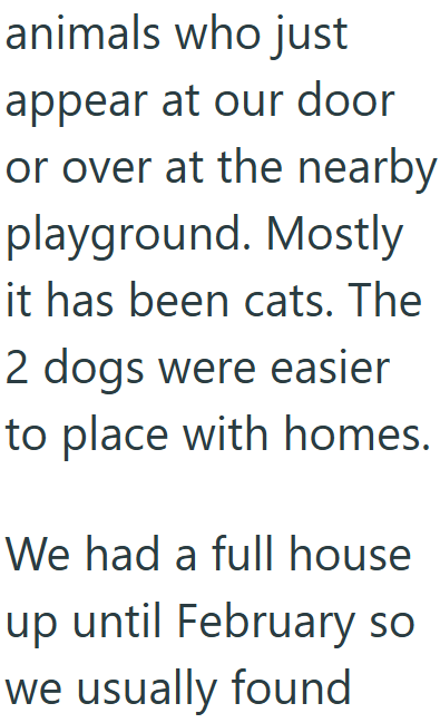animals who just appear at our door or over at the nearby playground. Mostly it has been cats. The 2 dogs were easier to place with homes. We had a full house up until February so we usually found