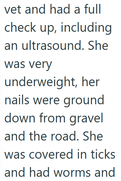 vet and had a full check up, including an ultrasound. She was very underweight, her nails were ground down from gravel and the road. She was covered in ticks and had worms and
