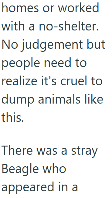 homes or worked with a no-shelter. No judgement but people need to realize it's cruel to dump animals like this. There was a stray Beagle who appeared in a