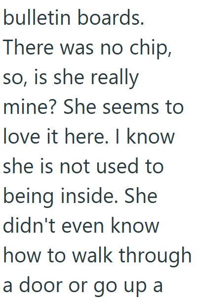 bulletin boards. There was no chip, so, is she really mine? She seems to love it here. I know she is not used to being inside. She didn't even know how to walk through a door or go up a