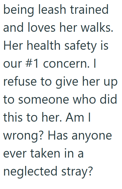 being leash trained and loves her walks. Her health safety is our #1 concern. I refuse to give her up to someone who did this to her. Am I wrong? Has anyone ever taken in a neglected stray?