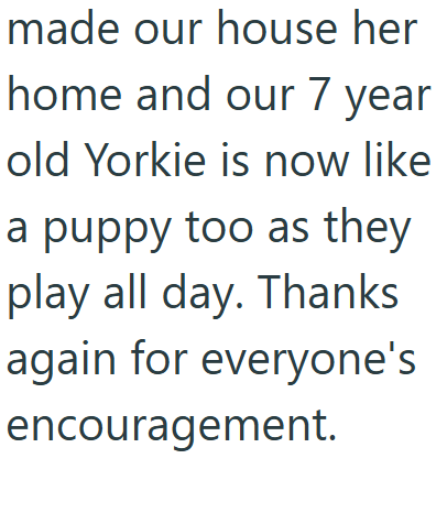 made our house her home and our 7 year old Yorkie is now like a puppy too as they play all day. Thanks again for everyone's encouragement.