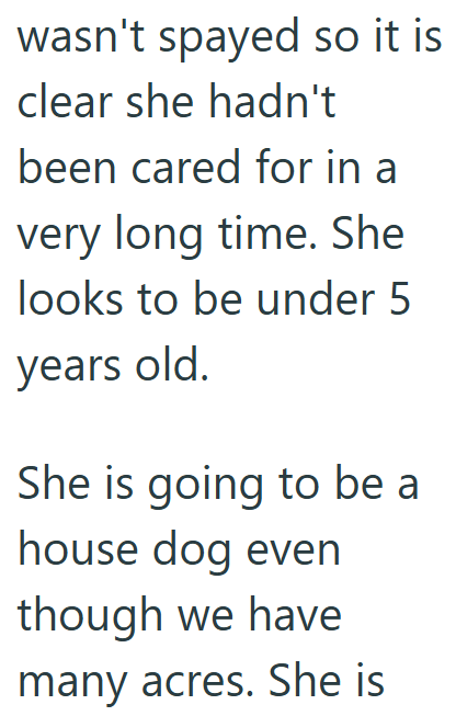 wasn't spayed so it is clear she hadn't been cared for in a very long time. She looks to be under 5 years old. She is going to be a house dog even though we have many acres. She is
