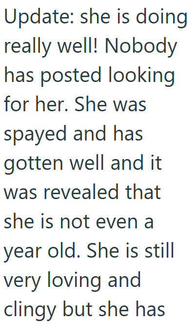 Update: she is doing really well! Nobody has posted looking for her. She was spayed and has gotten well and it was revealed that she is not even a year old. She is still very loving and clingy but she has