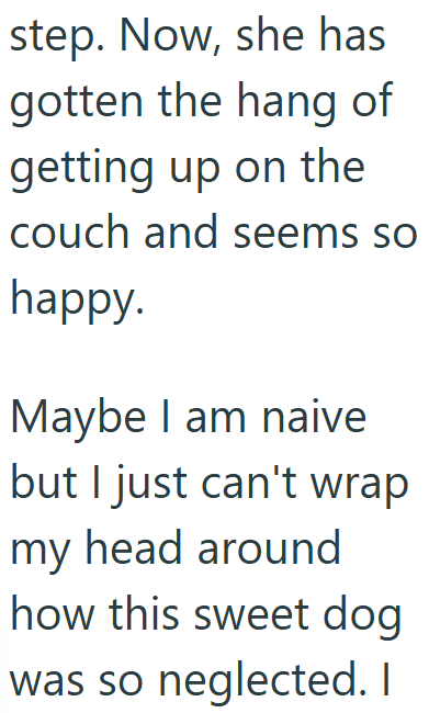 step. Now, she has gotten the hang of getting up on the couch and seems so happy. Maybe I am naive but I just can't wrap my head around how this sweet dog was so neglected. I