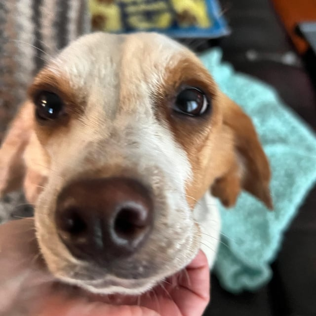 Cheezburger Image 10616068352