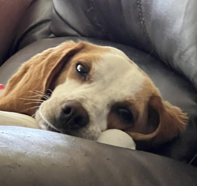 Cheezburger Image 10616068864