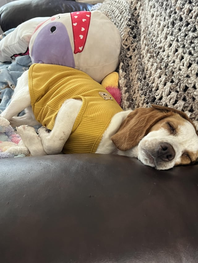 Cheezburger Image 10616069376