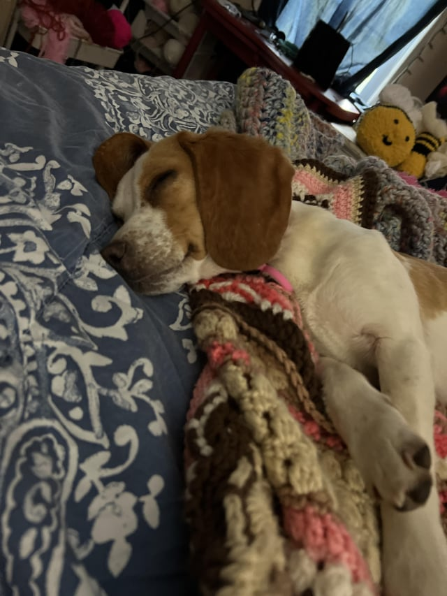 Cheezburger Image 10616069632