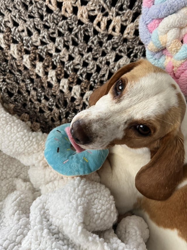 Cheezburger Image 10616069888