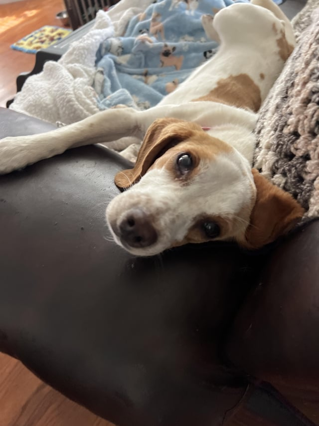 Cheezburger Image 10616070144