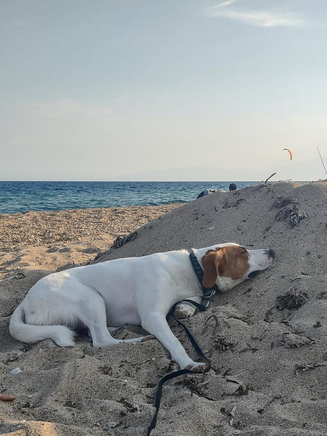 Cheezburger Image 10616071168