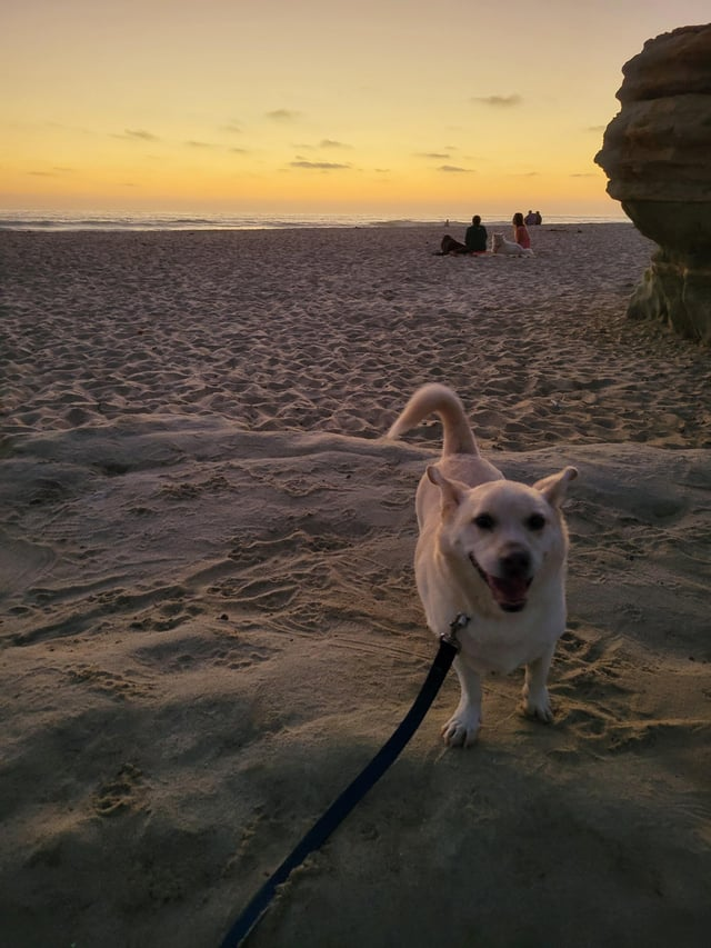 Cheezburger Image 10616071424