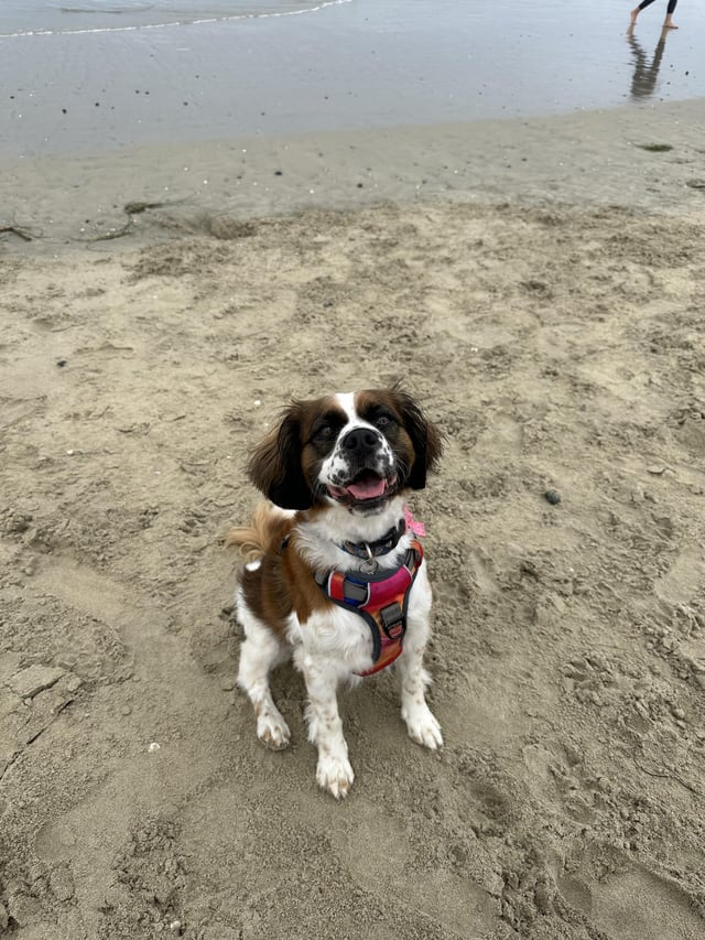 Cheezburger Image 10616071680