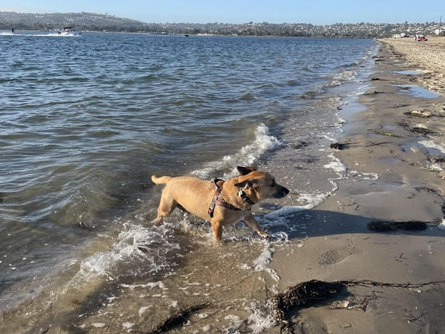 Cheezburger Image 10616071936