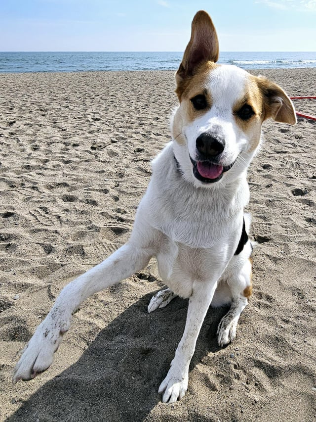 Cheezburger Image 10616072192