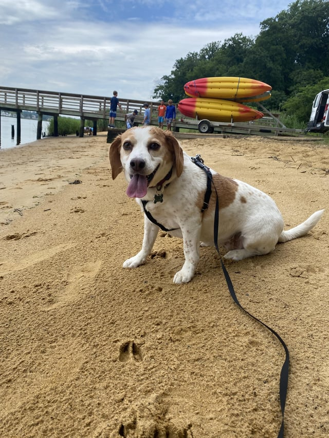 Cheezburger Image 10616072448