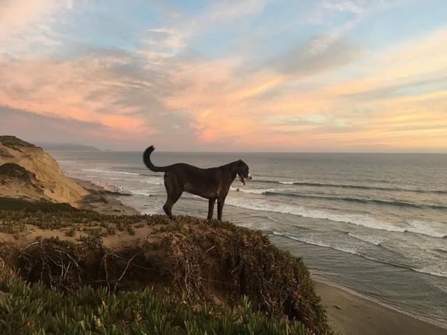 Cheezburger Image 10616073216