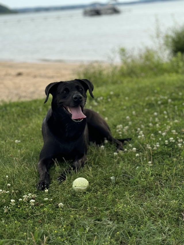 Cheezburger Image 10616073472