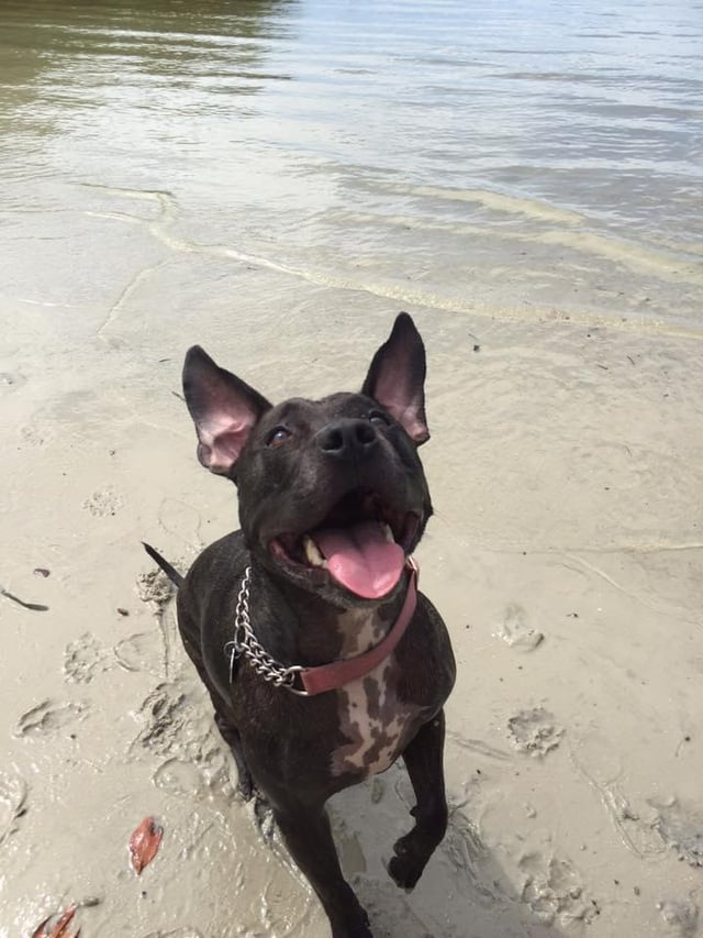 Cheezburger Image 10616073728