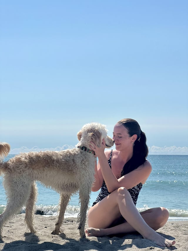 Cheezburger Image 10616074240