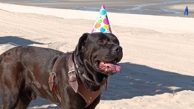 Cheezburger Image 10616074752