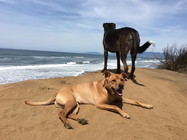 Cheezburger Image 10616075008