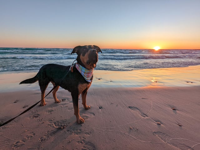 Cheezburger Image 10616075264