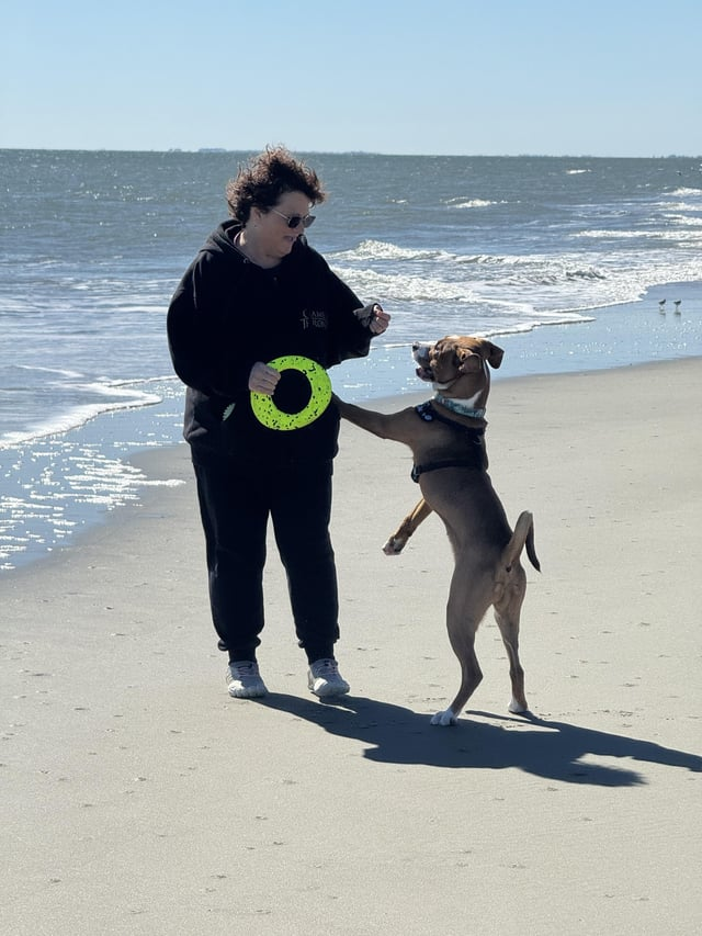 Cheezburger Image 10616075776