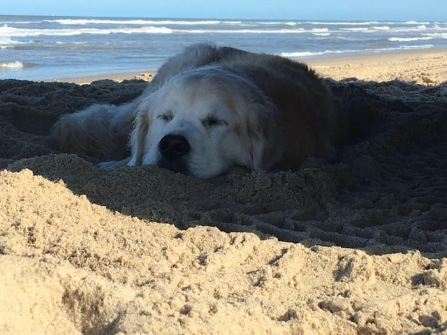 Cheezburger Image 10616076032