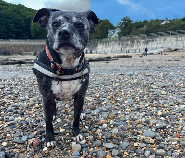 Cheezburger Image 10616076288