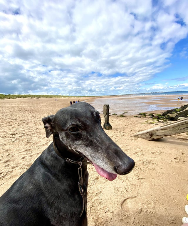 Cheezburger Image 10616076544