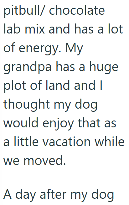 pitbull/ chocolate lab mix and has a lot of energy. My grandpa has a huge plot of land and I thought my dog would enjoy that as a little vacation while we moved. A day after my dog
