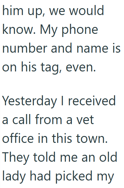him up, we would know. My phone number and name is on his tag, even. Yesterday I received a call from a vet office in this town. They told me an old lady had picked my