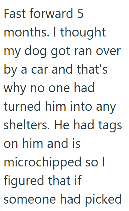 Fast forward 5 months. I thought my dog got ran over by a car and that's why no one had turned him into any shelters. He had tags on him and is microchipped so I figured that if someone had picked