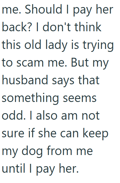 me. Should I pay her back? I don't think this old lady is trying to scam me. But my husband says that something seems odd. I also am not sure if she can keep my dog from me until I pay her.