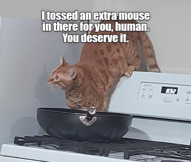 Cheezburger Image 10616083456