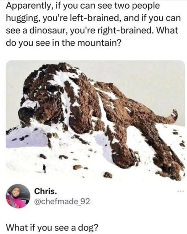 Apparently, if you can see two people hugging, you're left-brained, and if you can see a dinosaur, you're right-brained. What do you see in the mountain? Chris. @chefmade_92 What if you see a dog? www