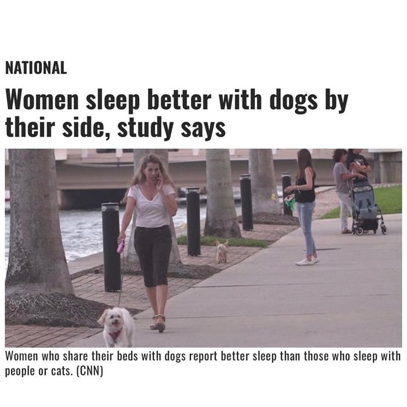 NATIONAL Women sleep better with dogs by their side, study says Women who share their beds with dogs report better sleep than those who sleep with people or cats. (CNN)