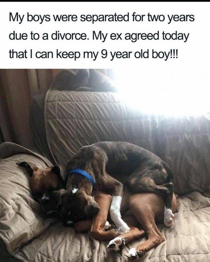 My boys were separated for two years due to a divorce. My ex agreed today that I can keep my 9 year old boy!!!