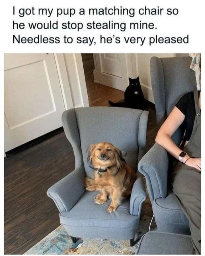 I got my pup a matching chair so he would stop stealing mine. Needless to say, he's very pleased